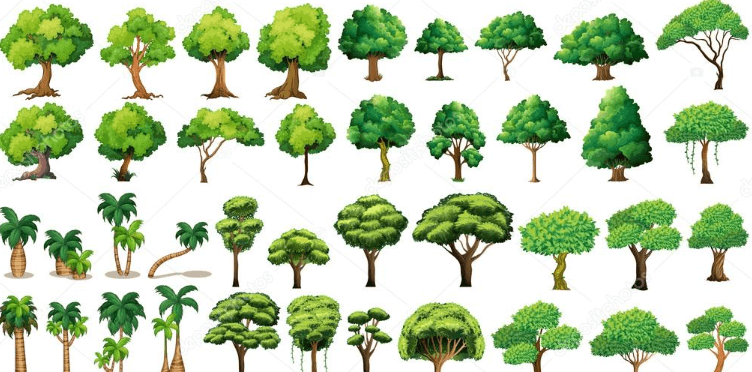 Clipart:18eynrbgvpw= Trees