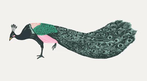 Clipart:21afzhfibme= Peacock
