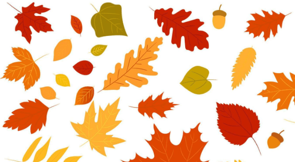 Cute:4y3snoxuab0= Fall Leaves Clipart